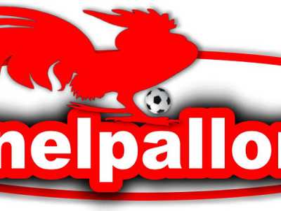 Nel 2013 si affacci� sulla scena anche Barinelpallone
